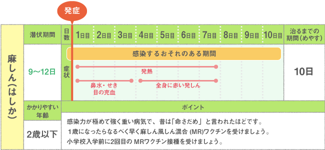 溶連菌 感染 経路