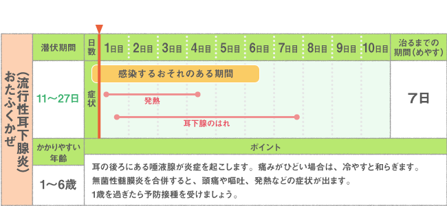 おたふくかぜ（流行性耳下腺炎）