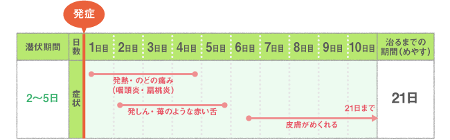 主な症状・経過