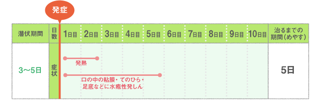 主な症状・経過