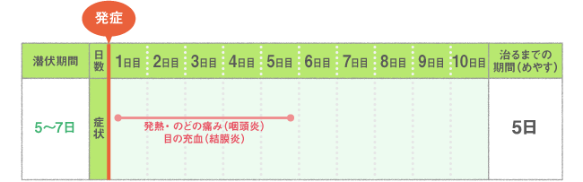 主な症状・経過