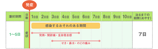 主な症状・経過