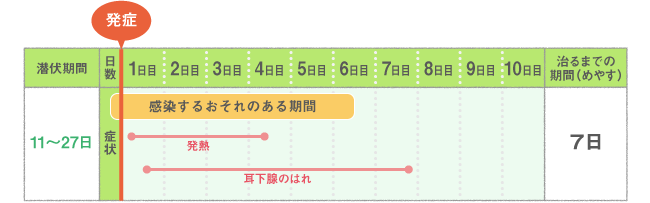 風邪 なし おたふく 熱 おたふくかぜ（流行性耳下腺炎）