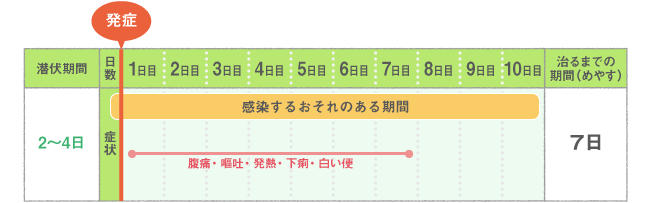 主な症状・経過