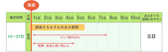 主な症状・経過