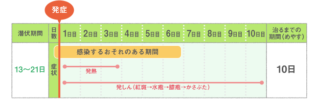 主な症状・経過