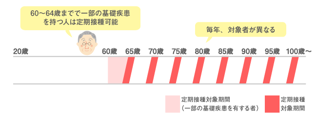 65歳以上のワクチン定期接種スケジュール表