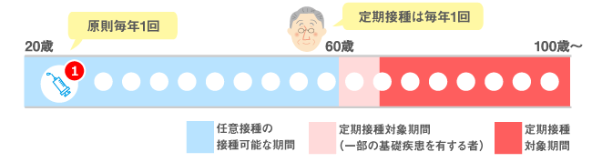 スケジュール表